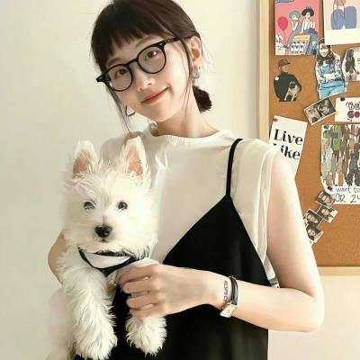 夏生整备班长的战斗机讲座